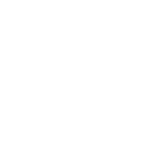 Flavis AI
